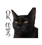 黒猫サイコー！（個別スタンプ：14）