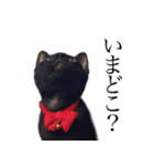黒猫サイコー！（個別スタンプ：18）