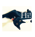 黒猫サイコー！（個別スタンプ：21）