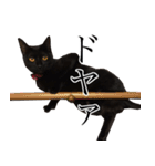 黒猫サイコー！（個別スタンプ：22）