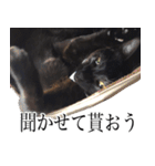 黒猫サイコー！（個別スタンプ：23）