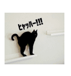 黒猫サイコー！（個別スタンプ：29）