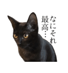 黒猫サイコー！（個別スタンプ：30）