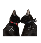 黒猫サイコー！（個別スタンプ：32）