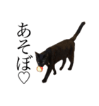 黒猫サイコー！（個別スタンプ：37）