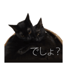 黒猫サイコー！（個別スタンプ：39）