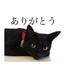 黒猫サイコー！（個別スタンプ：40）