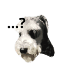 PUN Schnauzer（個別スタンプ：9）