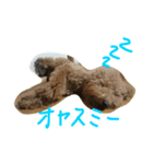 しんの休日（個別スタンプ：1）