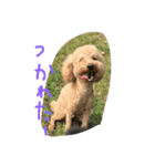 しんの休日（個別スタンプ：6）