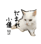 猫又予備隊。（個別スタンプ：10）
