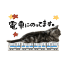 猫又予備隊。（個別スタンプ：28）