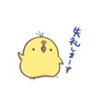 TORI2（個別スタンプ：1）