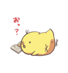 TORI2（個別スタンプ：20）