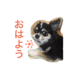 チワワのくろまめチャン（個別スタンプ：3）