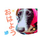 たろぴっぴの心の声（個別スタンプ：1）