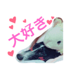 たろぴっぴの心の声（個別スタンプ：5）