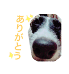 たろぴっぴの心の声（個別スタンプ：7）