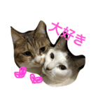 kuu＆anjie1（個別スタンプ：7）
