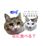 kuu＆anjie1（個別スタンプ：8）