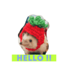 BB Thehedgehog（個別スタンプ：1）