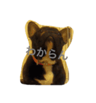 ゆるっとぶひ。（個別スタンプ：13）