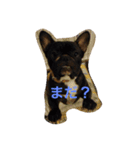 ゆるっとぶひ。（個別スタンプ：15）