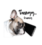 TuuwHuuw the dog（個別スタンプ：1）