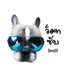 TuuwHuuw the dog（個別スタンプ：2）