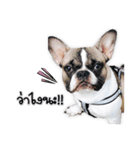 TuuwHuuw the dog（個別スタンプ：8）