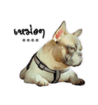 TuuwHuuw the dog（個別スタンプ：9）