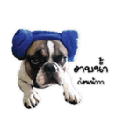 TuuwHuuw the dog（個別スタンプ：10）