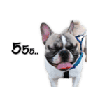 TuuwHuuw the dog（個別スタンプ：11）