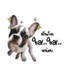 TuuwHuuw the dog（個別スタンプ：15）