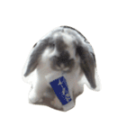 あんちゃん（1)（個別スタンプ：4）