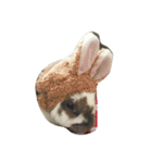 あんちゃん（1)（個別スタンプ：22）