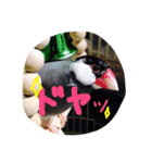 ANIbard2（個別スタンプ：3）