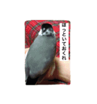 ANIbard2（個別スタンプ：5）