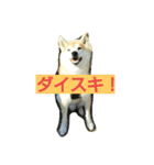 柴顔判子（個別スタンプ：7）