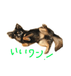 わんスタ（日常編）（個別スタンプ：10）