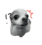 Gremlins Daily（個別スタンプ：3）