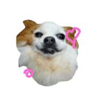 Gremlins Daily（個別スタンプ：5）