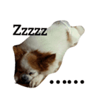Gremlins Daily（個別スタンプ：6）