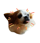 Gremlins Daily（個別スタンプ：8）
