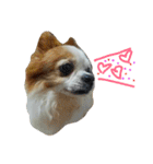 Gremlins Daily（個別スタンプ：14）