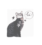 ねこ  カイな（個別スタンプ：2）