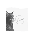 ねこ  カイな（個別スタンプ：4）
