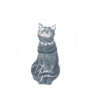ねこ  カイな（個別スタンプ：5）