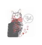 ねこ  カイな（個別スタンプ：6）