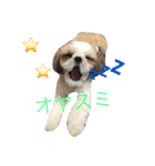 COCOSTYLELOVE（個別スタンプ：1）